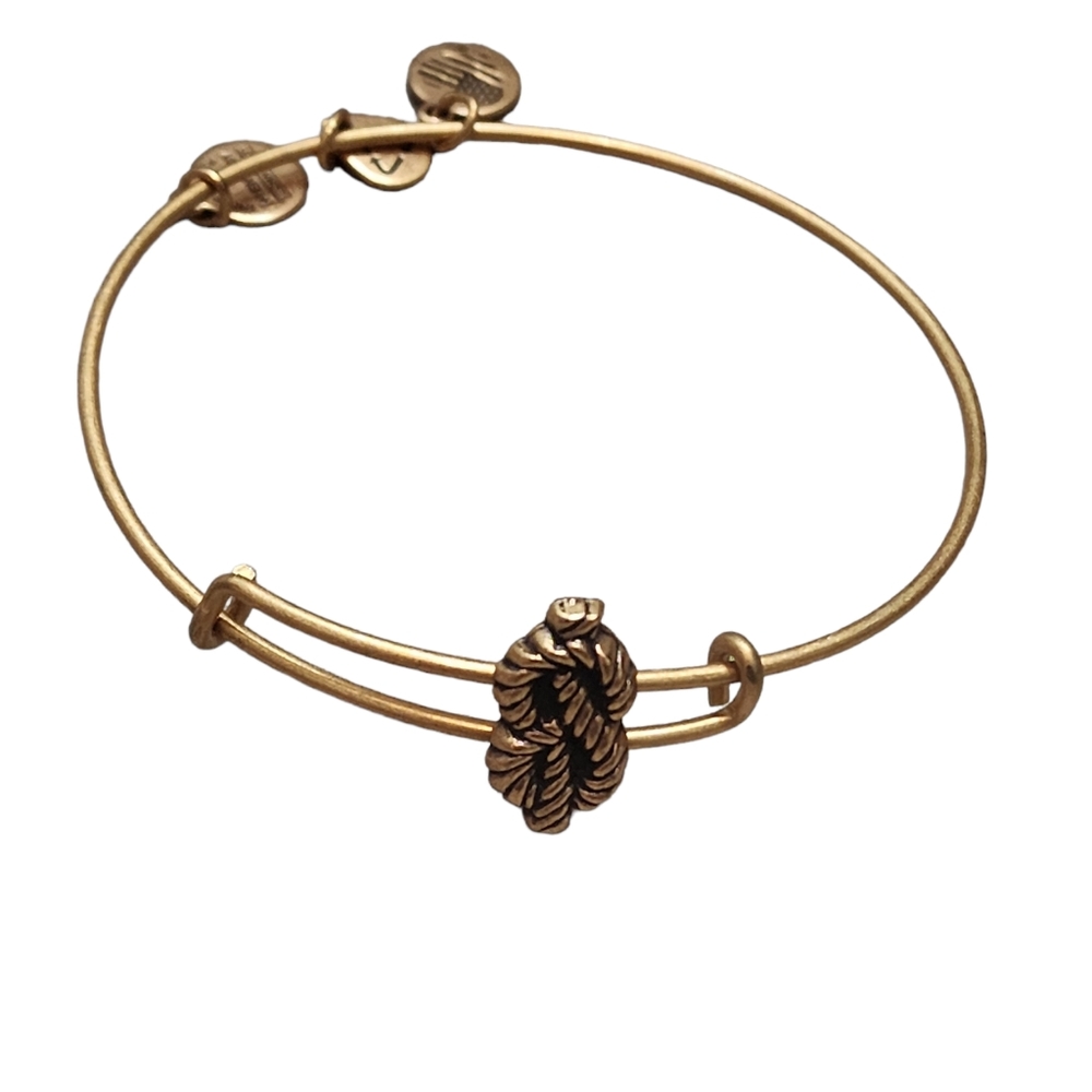 Alex‎ and Ani saliors knot bracelet
